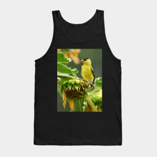 Goldfinch on sunflower Tank Top